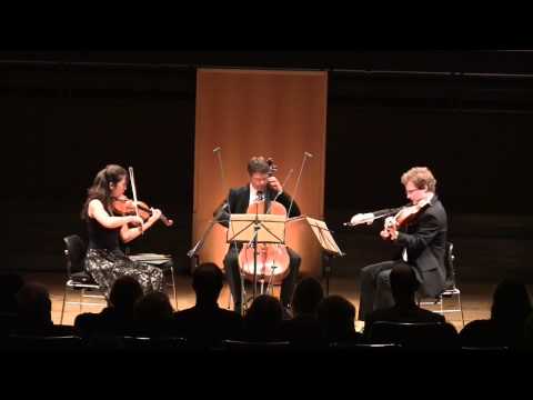 J.S.Bach BWV 988 - Goldberg Variations for String Trio