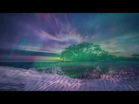 SundayWinterDay 2019 - Chill Instrumental Reggae