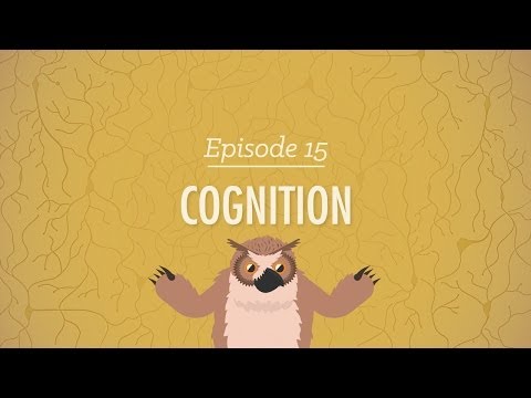 Cognition - How Your Mind Can Amaze and Betray You: Crash Course Psychology #15