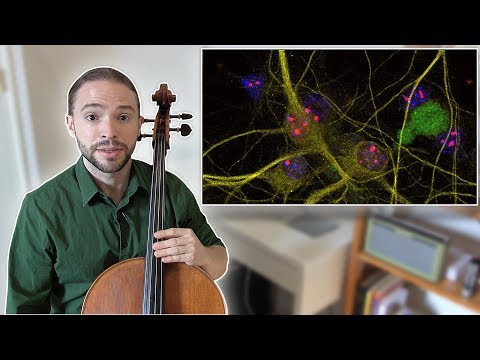 How to DEEP PRACTICE Cello Music | Cello Coach Talks